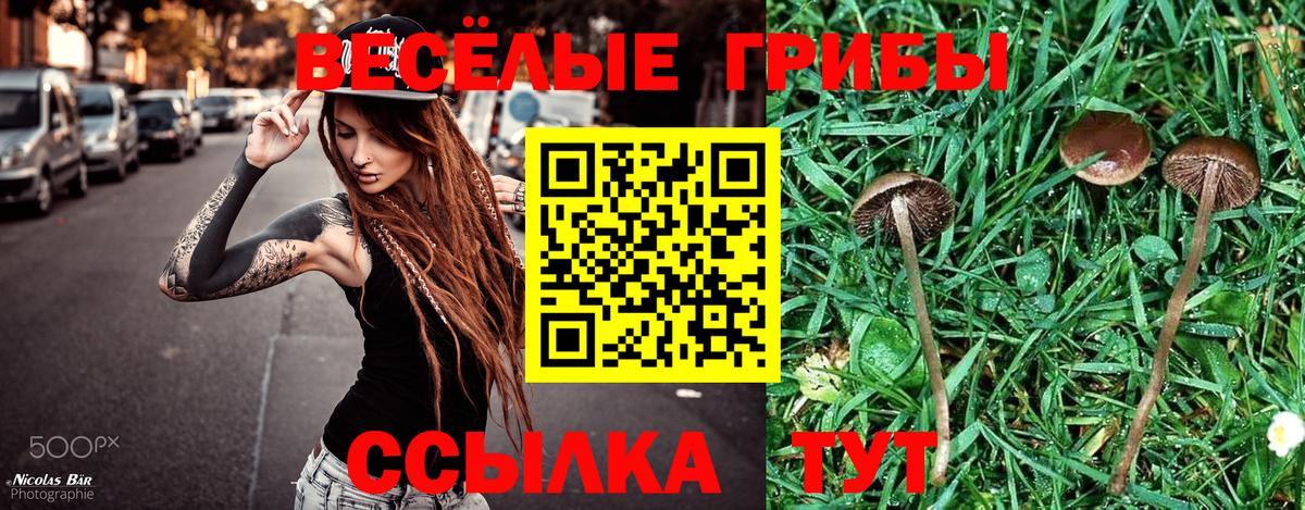 Псилоцибиновые грибы мухоморы  Галлюциногенные грибы Psilocybe  Энгельс  Вход с VPN 
