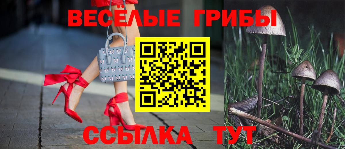 Галлюциногенные грибы прущие грибы Энгельс